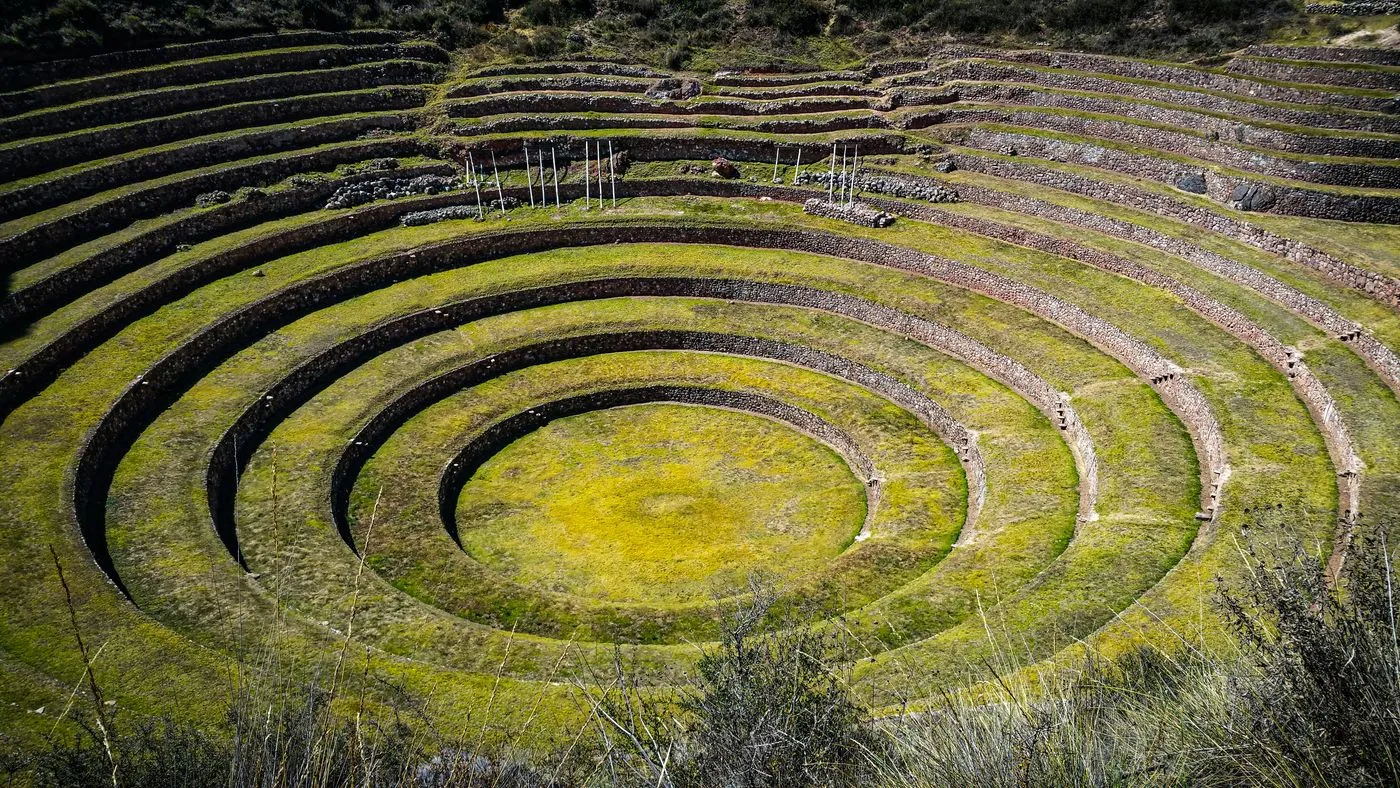 MOrAy